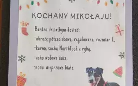Na zdjęciu  tekst apelu.