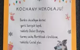 Na zdjęciu tekst apelu.