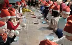 462557890_902469278721973_4678187057120786267_n