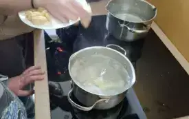 1000000423