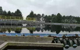 Zdjęcie przedstawia zbiornik wodny na tle drzew