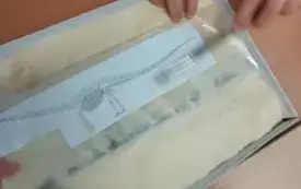 Na zdjeciu dzieci szukają szkieletu dinozaura.