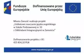 Logo projektu na stronę