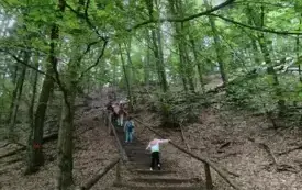 k7