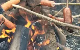 1000056496