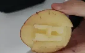1000001499
