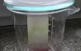e4