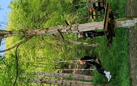 IMG_20260423_150640707_HDR