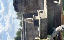 IMG_9233.jpeg