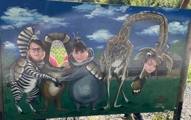 IMG_9229.jpeg