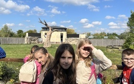 IMG_9217.jpeg