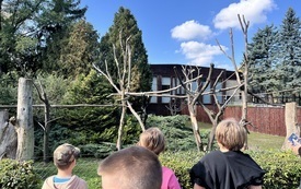 IMG_9199.jpeg