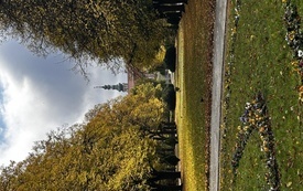 IMG_2216.jpeg