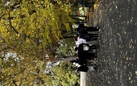 IMG_2213.jpeg