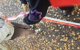 58407