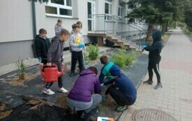 Za zdjęciu uczniowie sadzą rosliny w ogrodzie.