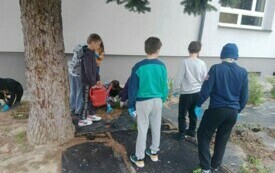 Za zdjęciu uczniowie sadzą rosliny w ogrodzie.