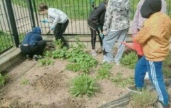 Za zdjęciu uczniowie sadzą rosliny w ogrodzie.
