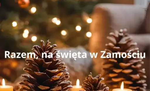 Na zdjęciu szyszki