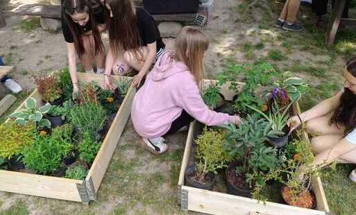 na zdjęciu etno garden