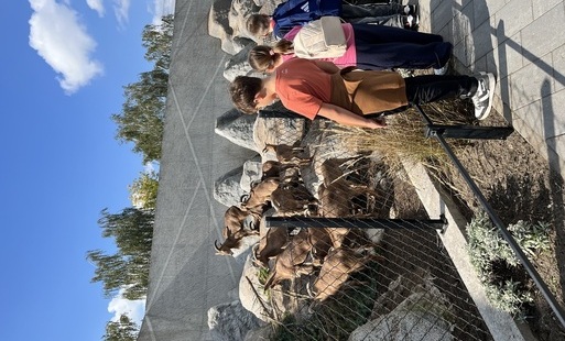 Na zdjeciu zoo